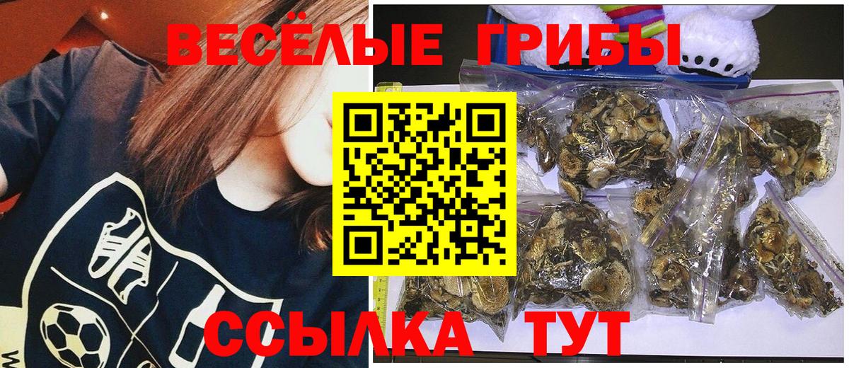 Псилоцибиновые грибы мицелий  Псилоцибиновые грибы Cubensis  Вход с VPN  Благовещенск 