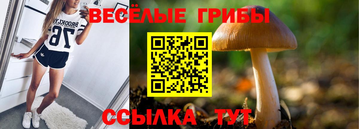 Псилоцибиновые грибы Cubensis Благовещенск
